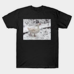 Gander in the Snow T-Shirt